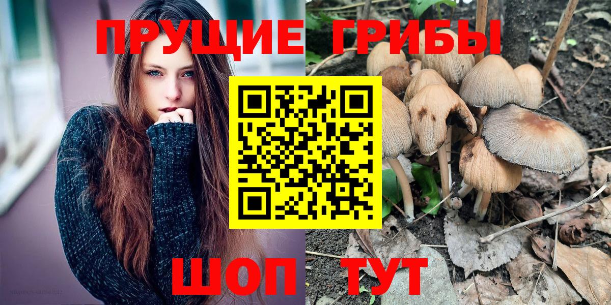 Псилоцибиновые грибы прущие грибы Ивантеевка