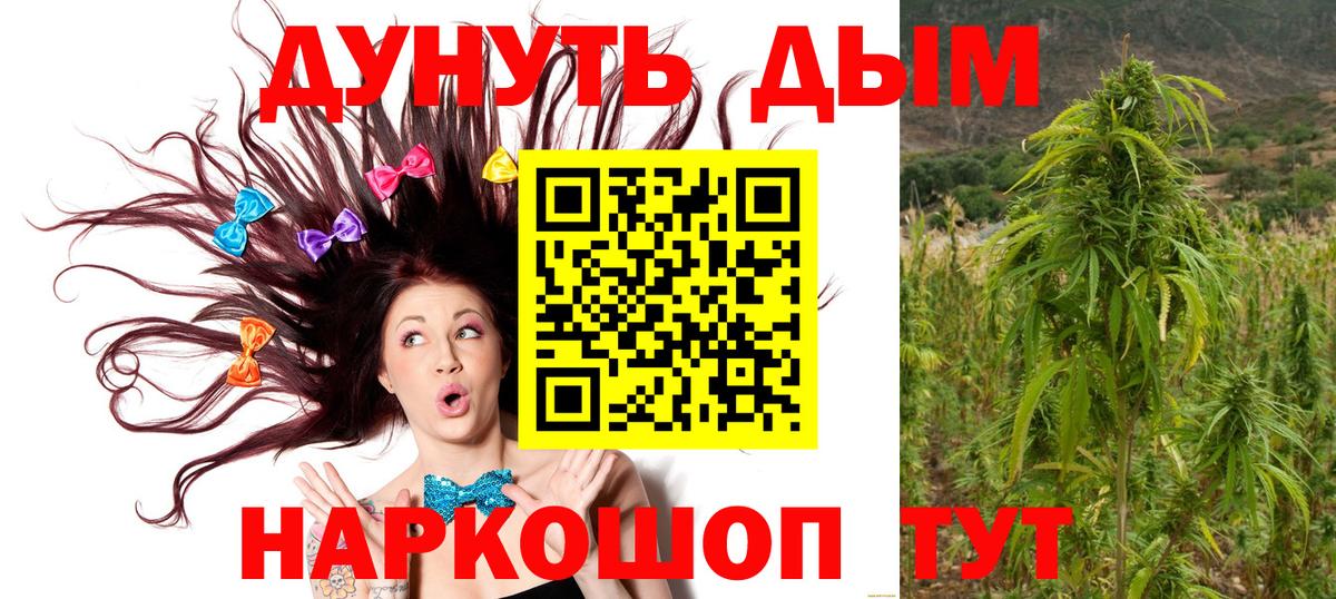 Бошки марихуана сатива  Вход с VPN  Бошки Шишки VHQ  Марихуана SATIVA & INDICA  Ивантеевка  Бошки Шишки индика 